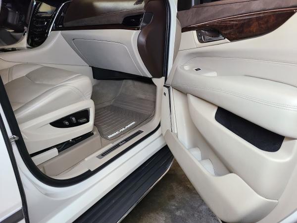 The Tint and Detail Clinic