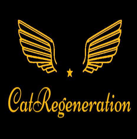 Catregeneration Catalytic Converter Regeneration