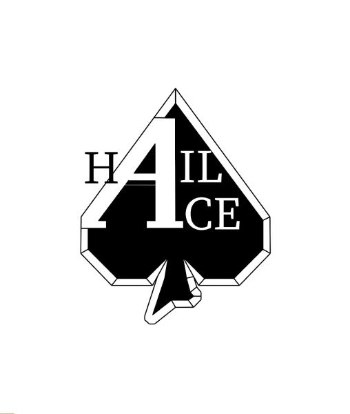 Hail Ace Dent Repair