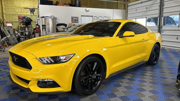 Apex Auto Coatings & Detail