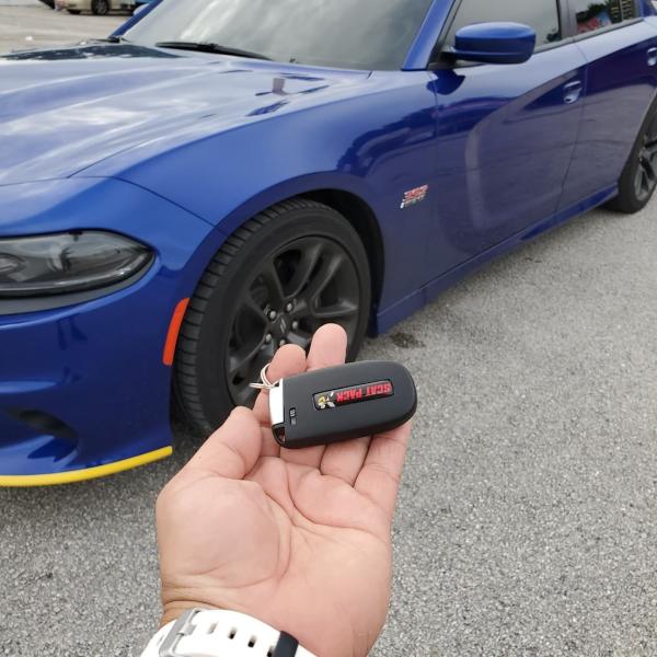 FL Rapid Window Tinting & Graphics