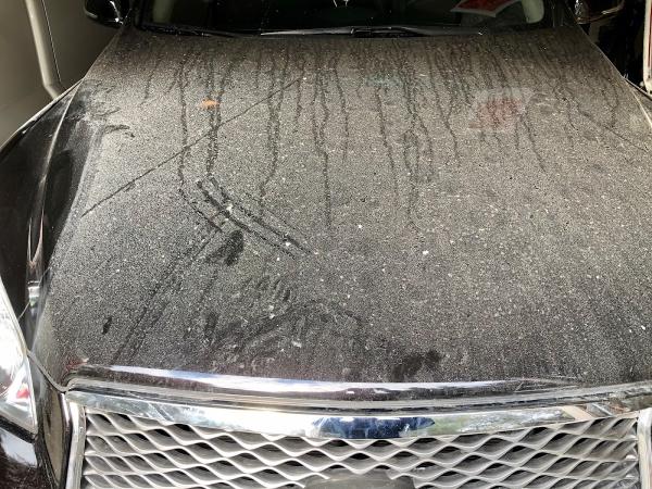 Marina Collision Repair