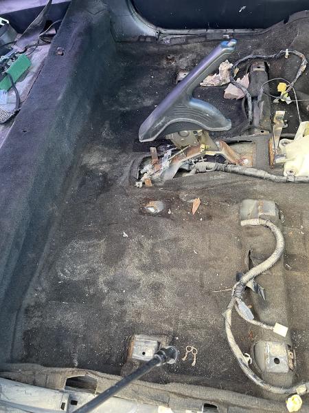 Bigbee Mobile Detailing Llc.