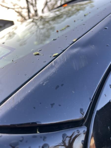 Set Apart Auto Hail Repair