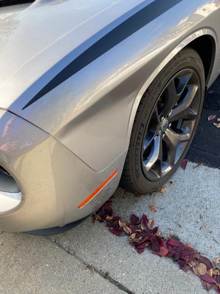 Dent Bees Gone