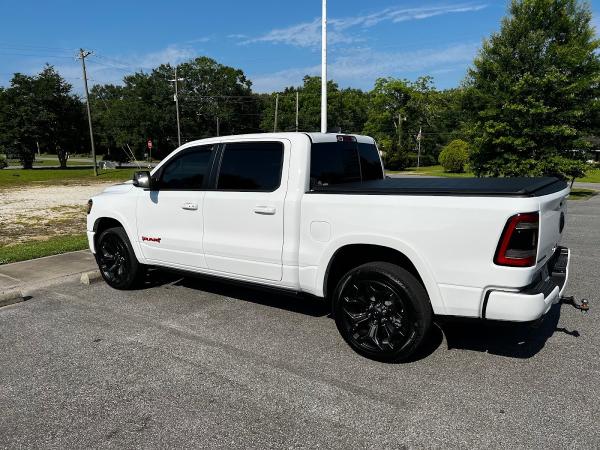 Trent Ciccone Tint & Detail