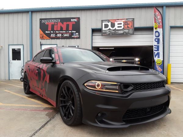 Bay Side Tint
