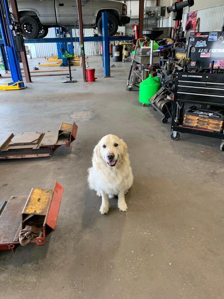 C-Side Auto Repair & Service