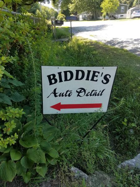 Biddie's Auto Detail