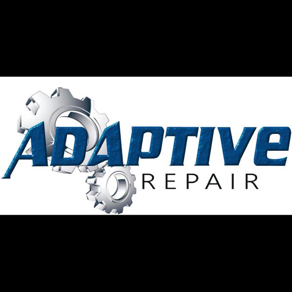 Adaptive Repair