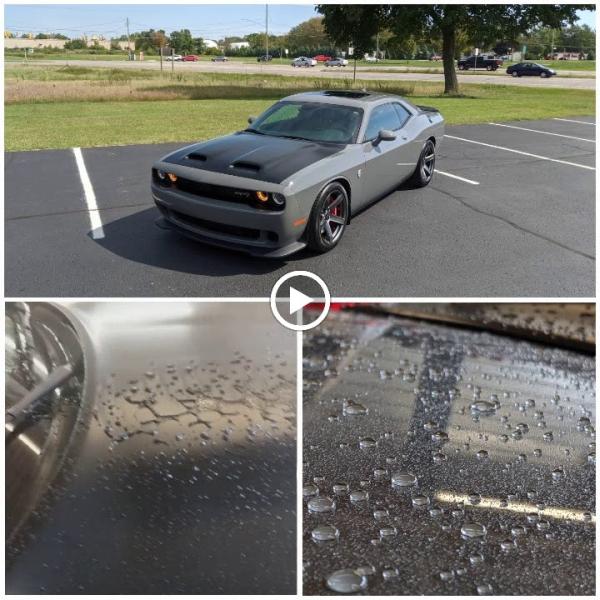 Soaking Wet Detail
