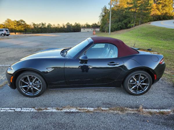 Colors On Parade South Georgia