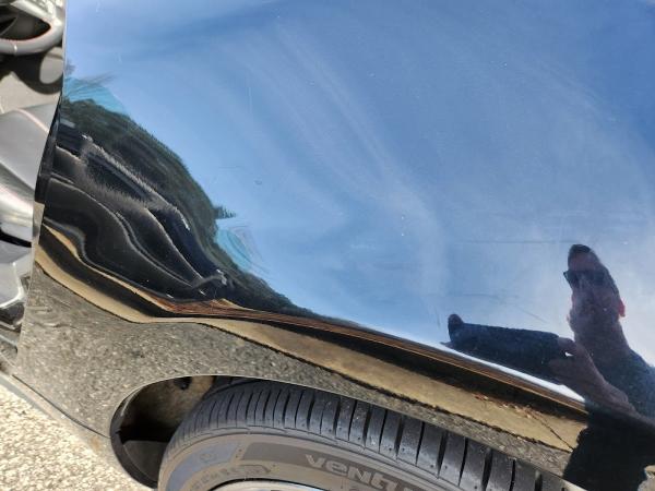 Colors On Parade South Georgia