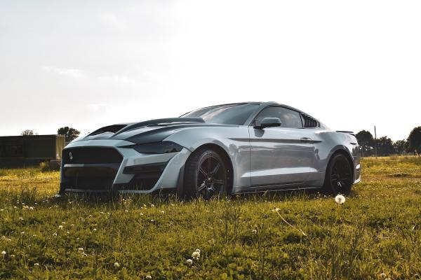 Eye Kandy Customs & Tint