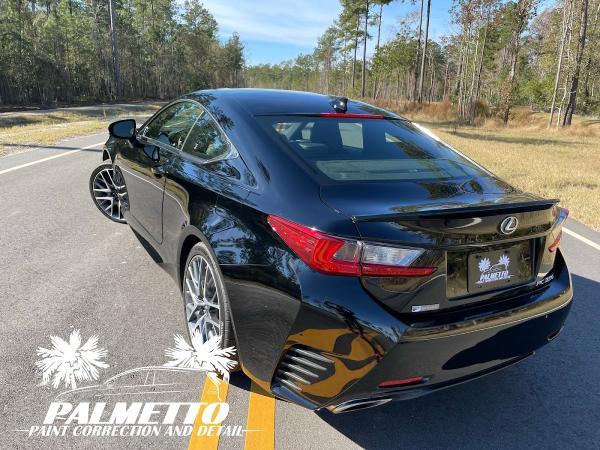 Palmetto Paint Correction and Detail