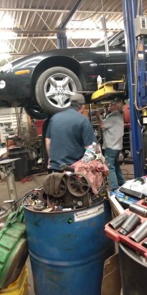 Motorcar Specialist