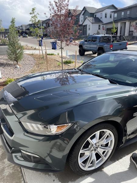 Extreme Shine Mobile Detailing