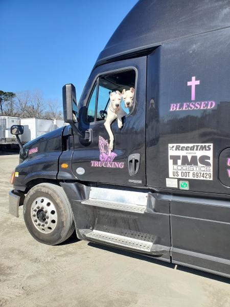 Jessie Jones Auto Glass