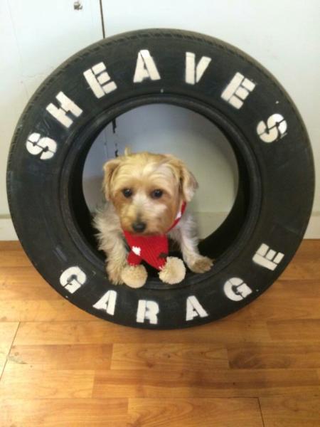 Sheaves Garage Discount Tires