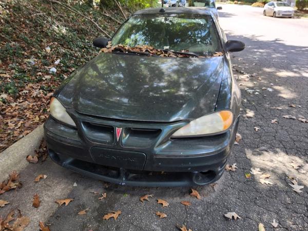 The Junk Car Lady