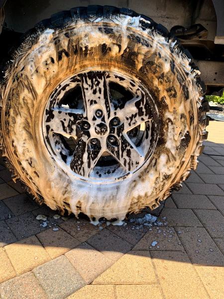 Clean Customs LLC