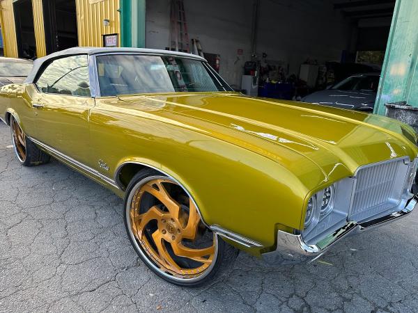 Royal Body Collision