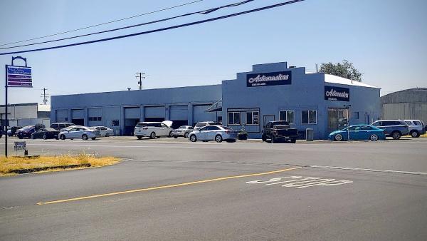 Auto Masters Automotive