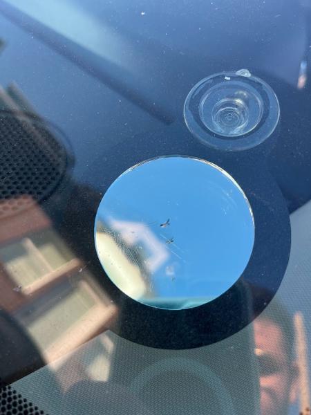 Elevated Auto Glass