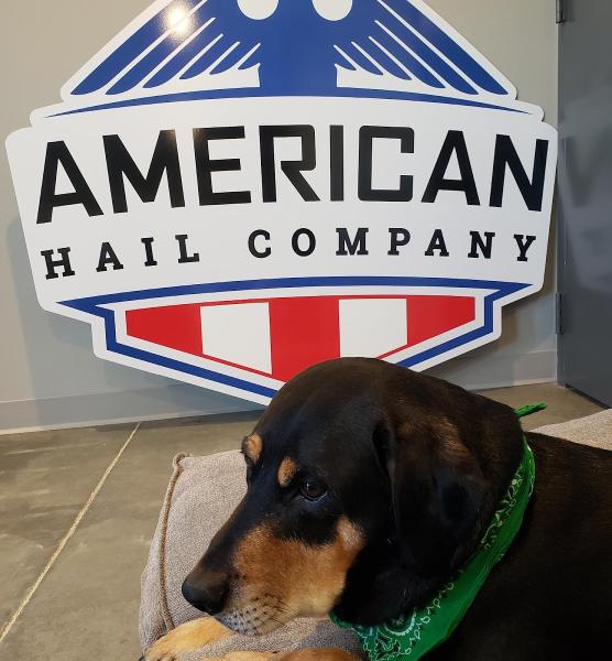 American Hail Company