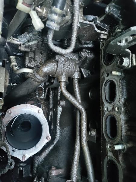 The Automotive Whisperer