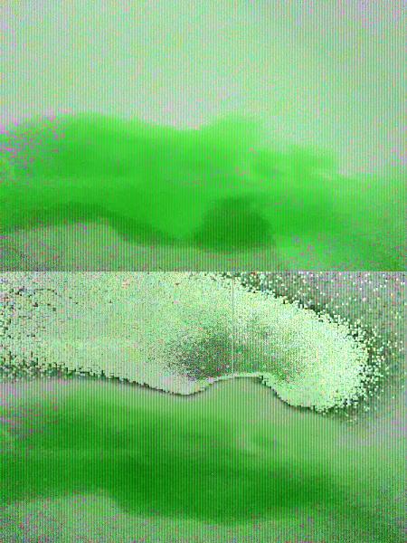 Sunbelt Car Wash Services