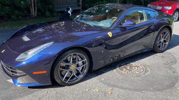 Auburndale Auto Detail