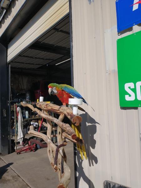 Barrett's Service Station