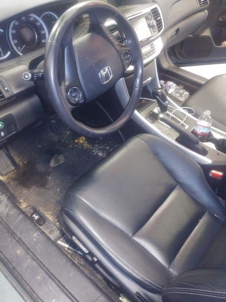 Daryl's Elite Detailing