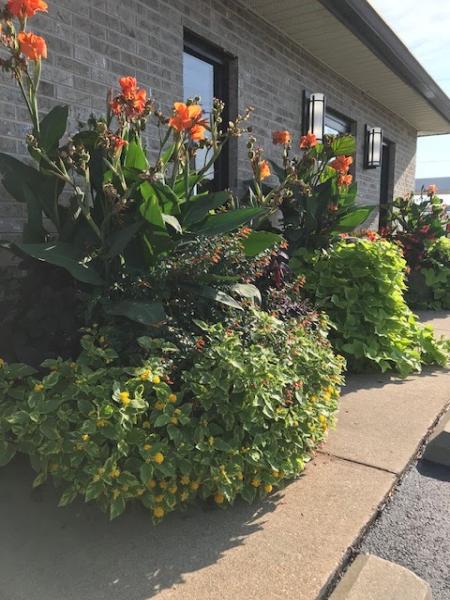 Bates Collision Center