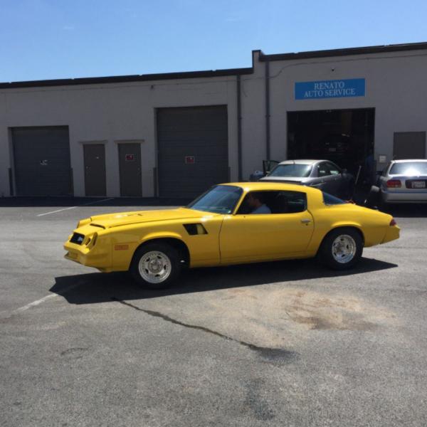 Proguard Autoglass & Window Tinting
