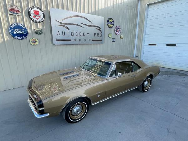 Autobody Pro Shop Inc