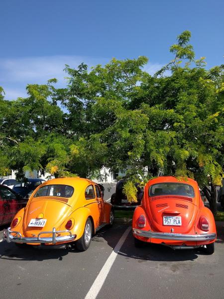 Vintage German Motors