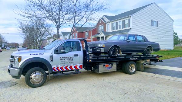 American Bulldog Towing and Recovery