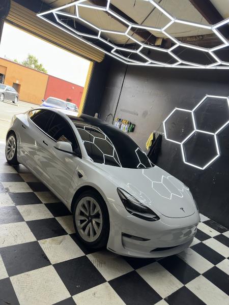 Mafia Tints