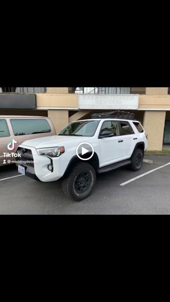 Mad Dog Auto Detailing