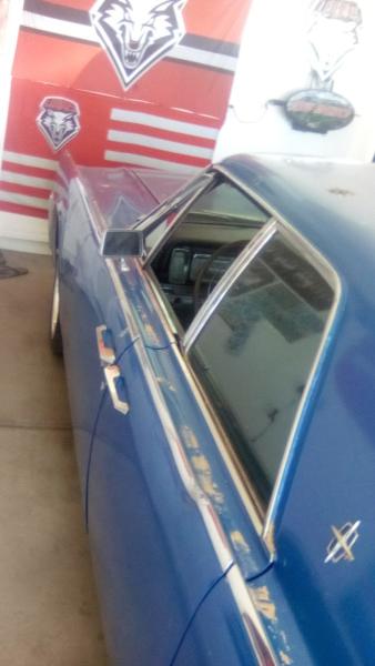 Impact Windshield