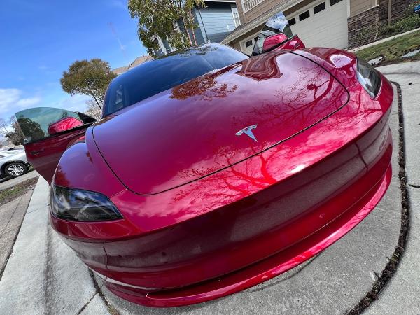 Pro Shine Mobile Detailing