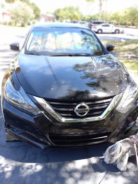 Cato's Auto Glass