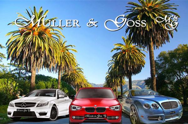 Muller and Goss Automotive Repair