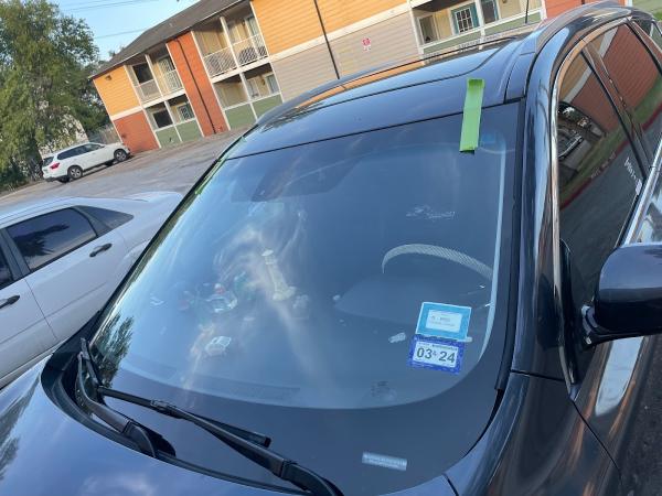 Next Shield Auto Glass