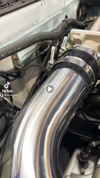 Topshelf Performance