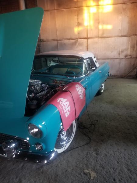 Wichita County Customs