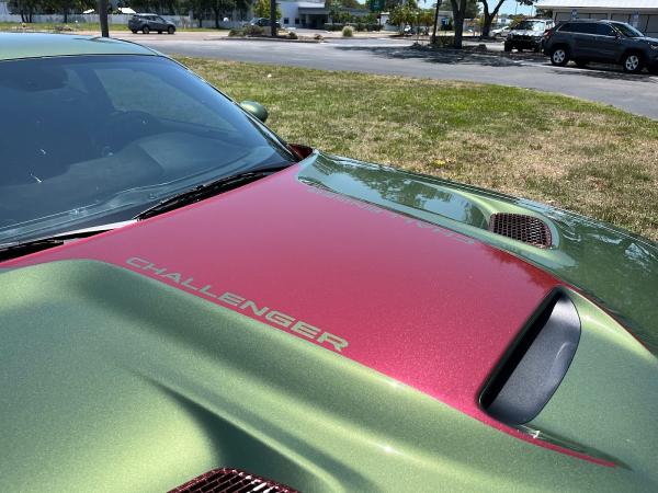 Auto Trim Design
