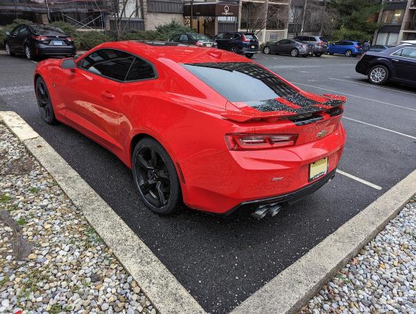 Quality Window Tinting